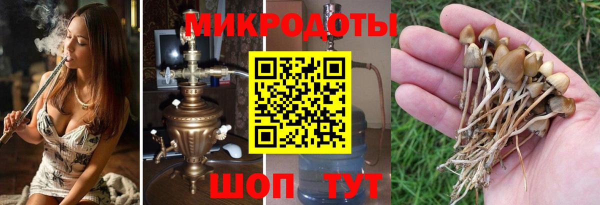 Северобайкальск  Псилоцибиновые грибы Magic Shrooms  Вход с VPN 